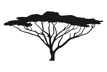 African tree isolated silhouette. Acacia tree silhouette.