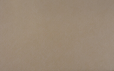 leather substitute, handbag, brown color, texture pattern, three-dimensional drawing, small three-dimensional square