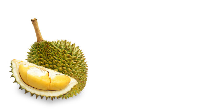 Fresh cut durian isolated on white background with copy space, King of fruit from Thailand, Creative food concept.