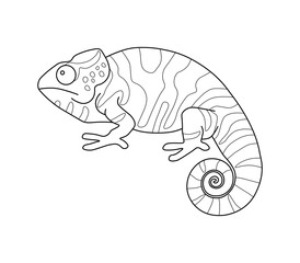 Chameleon. Linear drawing, coloring. A simple chameleon image is a template.