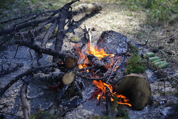 Close up camp dying fire on the nature, outdoor bonfire smoldering embers