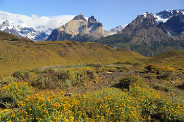 Torres del Paine