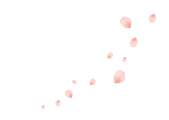 水彩の桜のイラスト素材