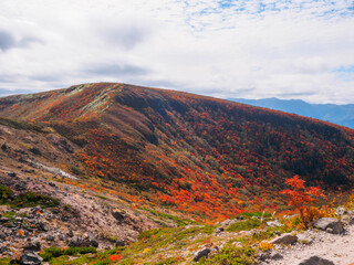 Overlooking autumnal mountains from above timber line (Tochigi, Japan)