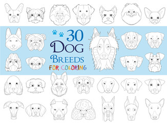 Dog Breeds Collection Volume 1: Set of 30 different dog breeds for coloring in cartoon style.