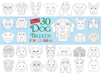 Dog Breeds Collection Volume 2: Set of 30 different dog breeds for coloring in cartoon style.