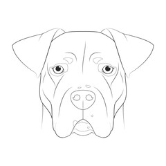 Argentinian Dogo dog easy coloring cartoon vector illustration. Isolated on white background
