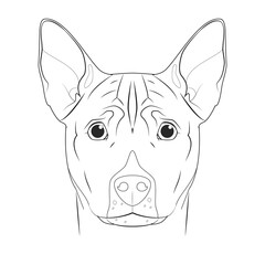 Basenji dog easy coloring cartoon vector illustration. Isolated on white background