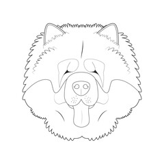 Chow Chow dog easy coloring cartoon vector illustration. Isolated on white background