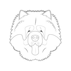 Chow Chow dog easy coloring cartoon vector illustration. Isolated on white background