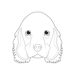 Cocker Spaniel dog easy coloring cartoon vector illustration. Isolated on white background