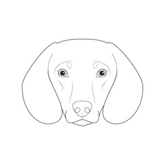 Dachshund dog easy coloring cartoon vector illustration. Isolated on white background