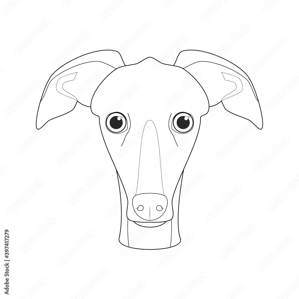 Wall mural Greyhound dog easy coloring cartoon vector illustration. Isolated on white background