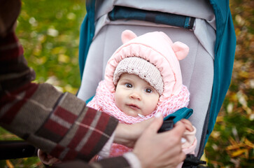 Baby in stroller on a walk in autumn park. Adorable little girl in warm clothes sitting in blue pushchair. Child in buggy