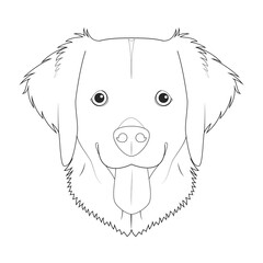 Golden Retriever dog easy coloring cartoon vector illustration. Isolated on white background