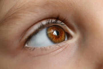 Fototapeta na wymiar Сloseup of a Brown eye of a caucasian girl