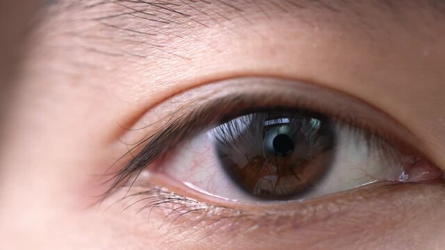 目　クローズアップ　見つめる　瞬き