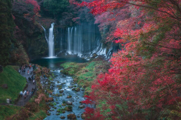 Fototapeta premium 紅葉の白糸の滝