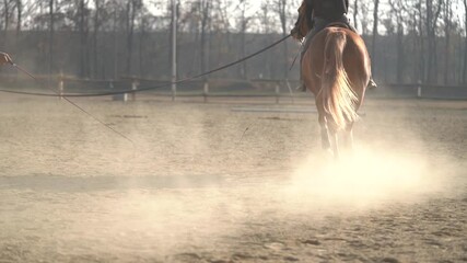 beginner horse rider training. legs of trainer, horse and equestrian. slow motion HD