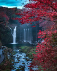 Fototapeta na wymiar 秋の白糸の滝 