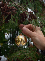 hand hanging christmas ornament on tree