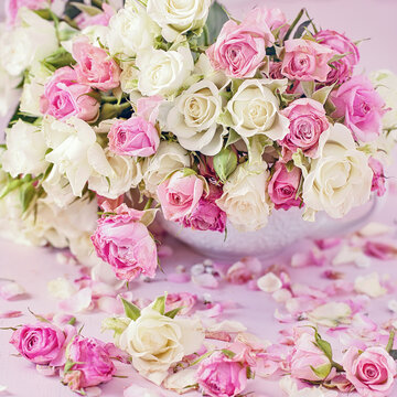 Beautiful fresh roses in a cup on a pink background
