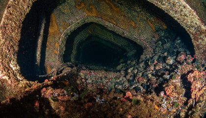 Eurobulker Shipwreck Dive, Carloforte, Sardinia, Mediterranean Sea