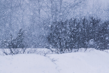 Snowstorm in countryside in wintertime