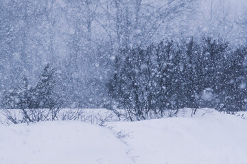 Naklejka premium Snowstorm in countryside in wintertime