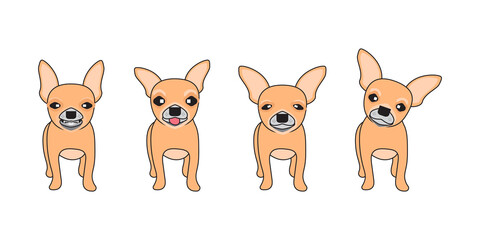 Fototapeta premium Set of dog cartoon character with a Chihuahua, Vector dog set.