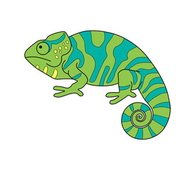 Chameleon. Linear drawing, coloring. A simple chameleon image is a template.