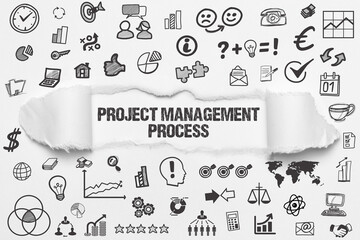 Project Management Process 