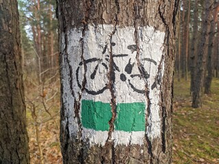 green bike trail sign on a tree