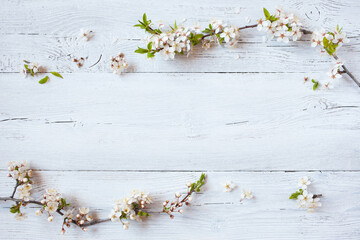 Blooming cherry plum branches on a white wooden background for congratulation text