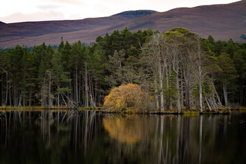 Loch Mallachie, Scotland