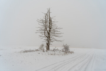 Fototapeta na wymiar Russberg bei Tuttlingen im Winter