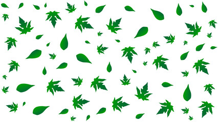 white background with green leaves