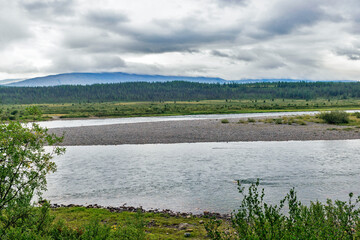 Fototapeta premium northern river in a forest area in the subpolar urals