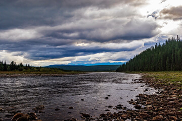 north river in a forest area in the subpolar urals