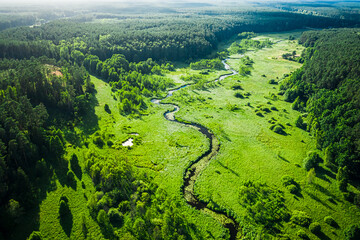 Small river and green swamps in summer, aerial view