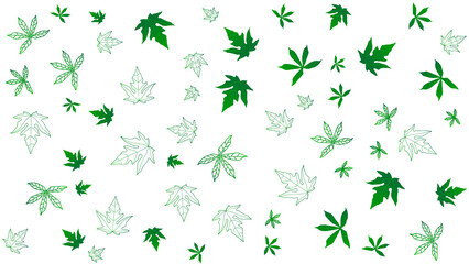white background with green leaves