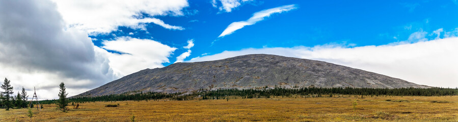 Obraz premium subpolar tundra forest and mountains in the urals