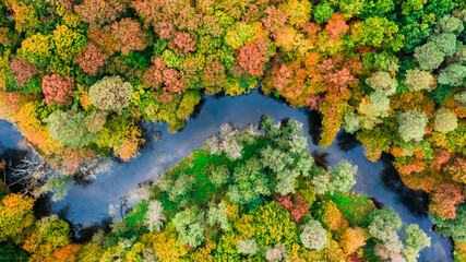 Top down view of small river and colorful autumn forest