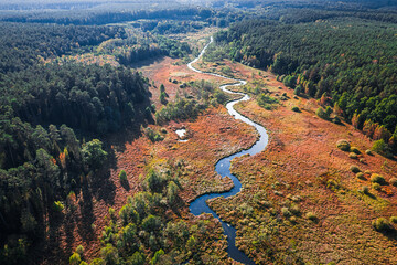 Idyllic view of swamps and river in autumn, aerial view