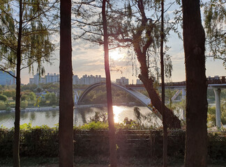Bridge overlooking the trees at Seonyudo Park