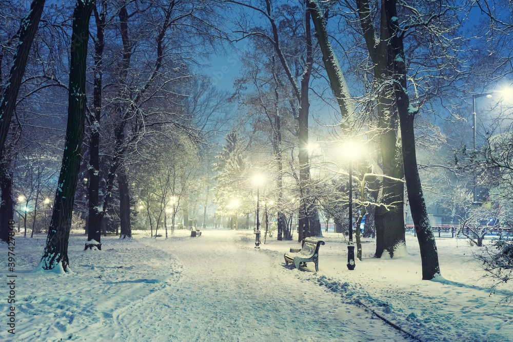 Wall mural Footpath in a fabulous winter city park