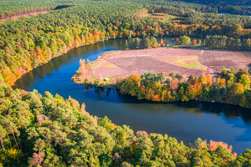 River and autumn forest at sunset, aerial view of Poland