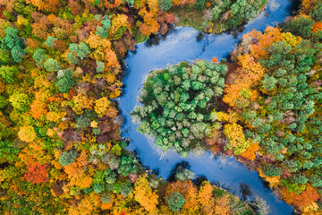 Fototapeta na wymiar Aerial view of colorful autumn forest and blue river, Poland