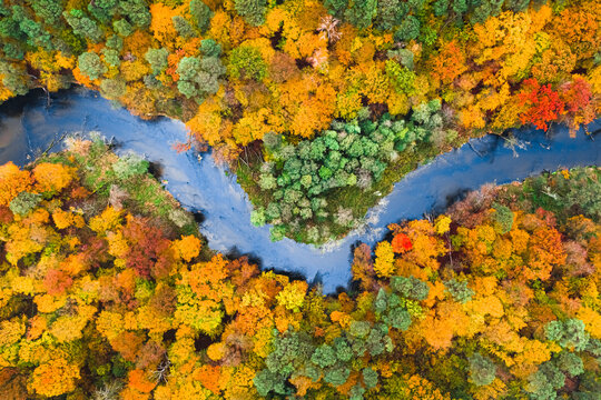 Blue river and colorful autumn forest, aerial view of Poland