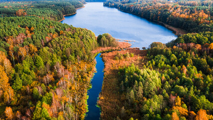Aerial view of blue river and big lake in autumn